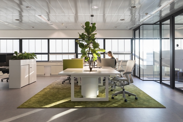 COwerk SpeakGreen vergader meeting team tafel eb4