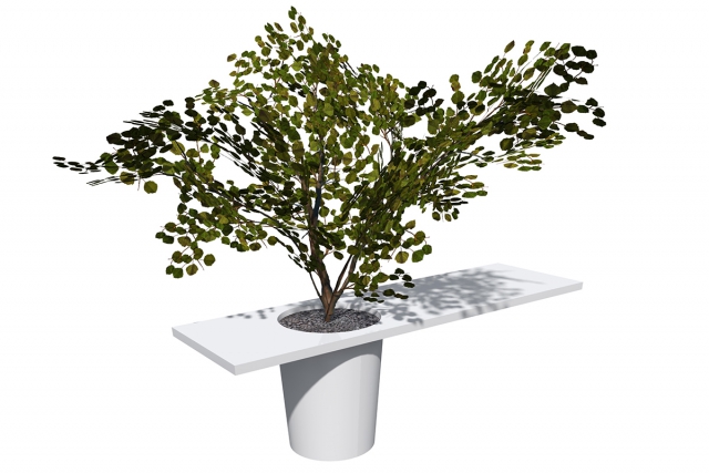 Tafel met plantenpot en boom