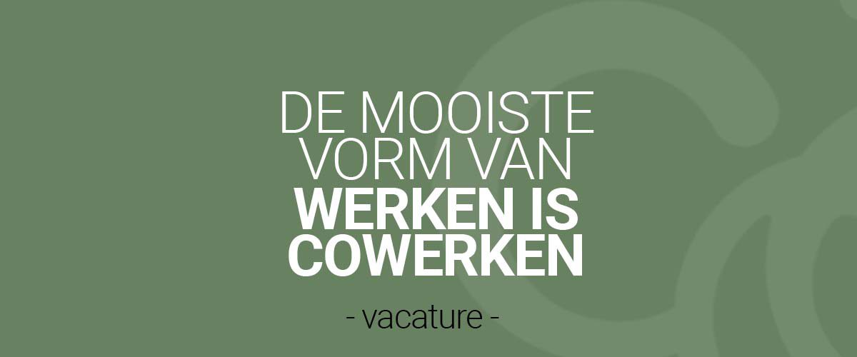 + Vacature